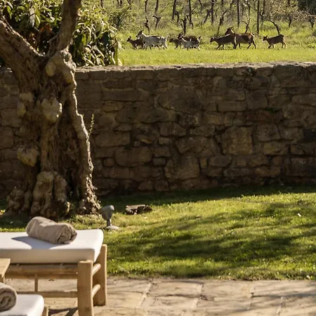 Villa Renovated Stone Castagno Ideal For Families